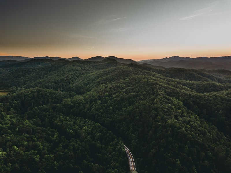 Northern Virginia